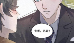 国民老公漫画,霸道总裁的甜蜜宠爱记